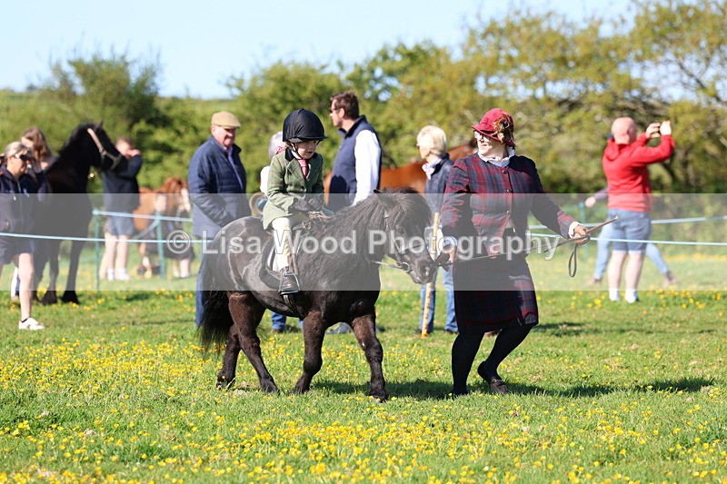 3E7A8770 - Class 2: Lead rein