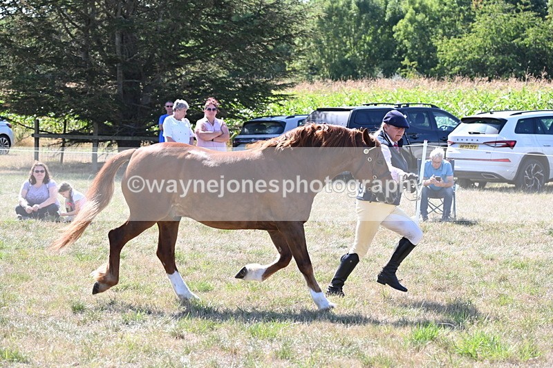 WJ6_4851 - Class 17 Mountain & Moorland