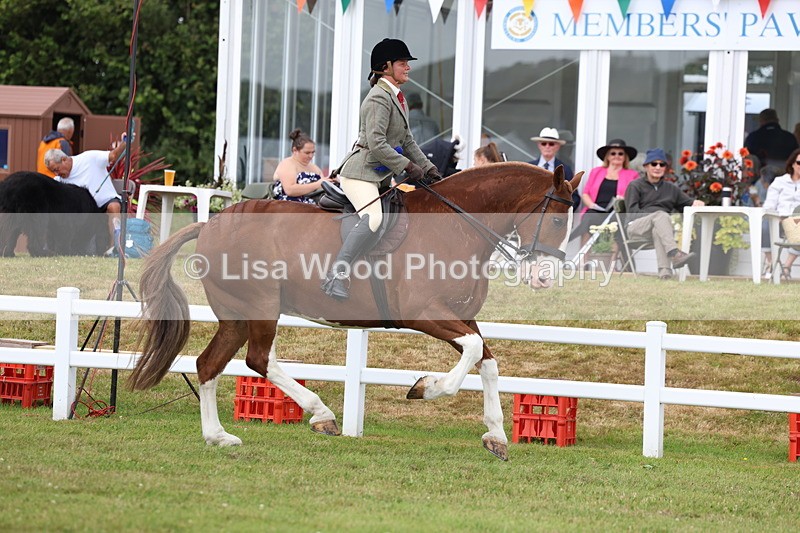 3E7A0522 - Rising Star Ridden Championship