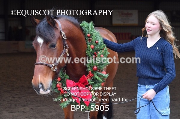 BPP_5905 - Marion West pony 3