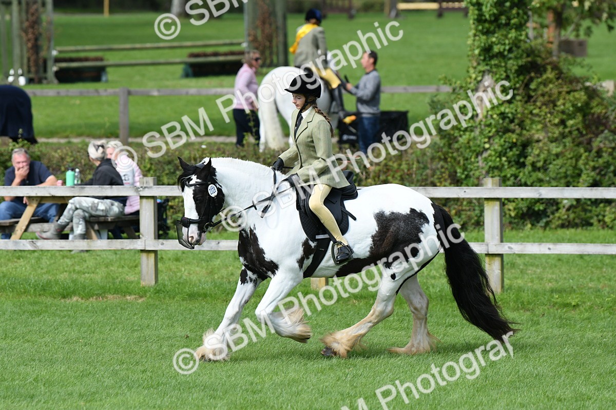 SBM_46939 - S12 - Family Horse & Pony