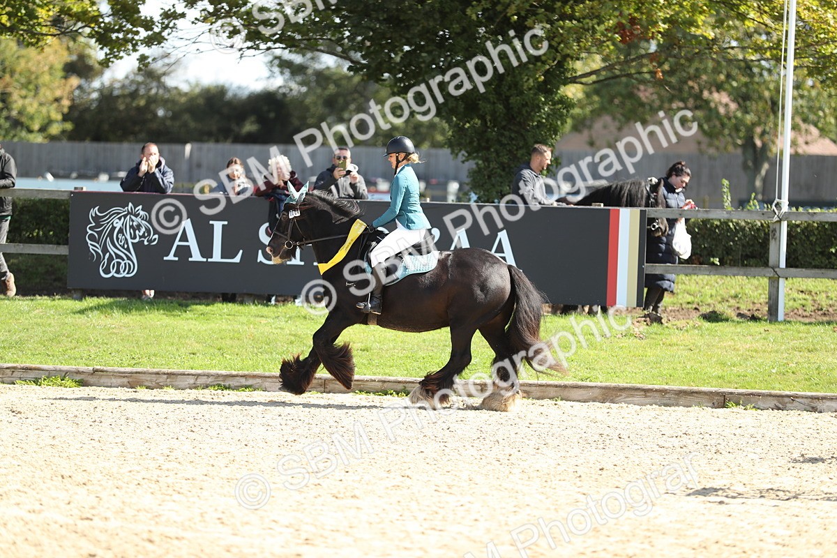 SBM_04782 - J28 - Senior Horse & Pony 60cm Championships