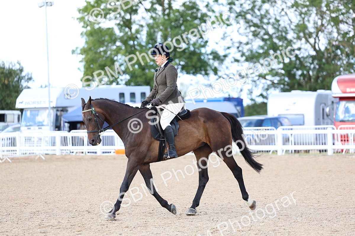 SBM_10841 - Class 305 - Ridden Foreign Breeds - Pure Bred