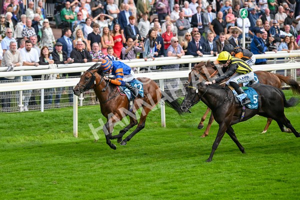 080925-Race 4-Zain Blue-7616 - Race 4 4.00pm Sky Bet Extra Places Middle Distance Handicap
