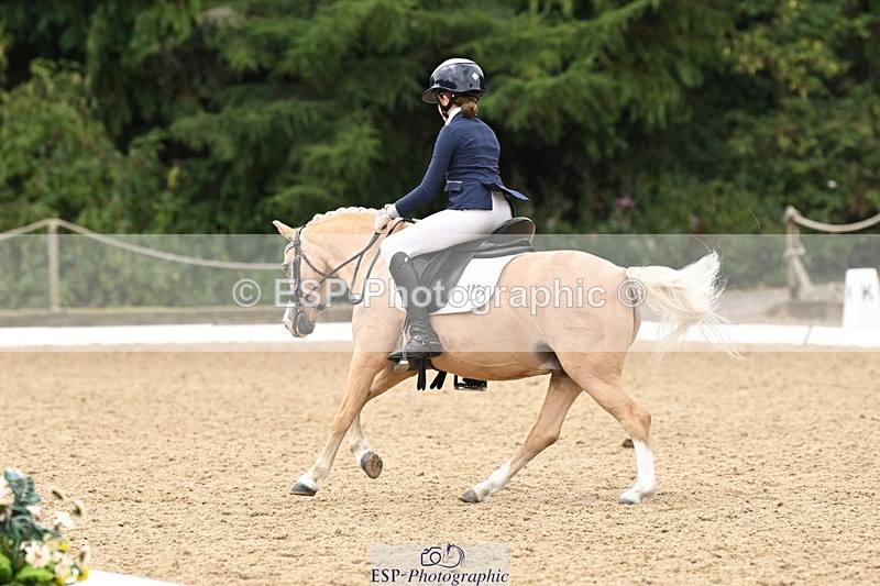 250808A-114247-00682 - 155-Rose.Cassapi-Westfirle.Golden.Oriole