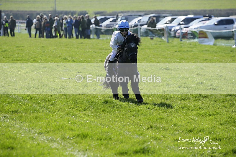 PtP 190322 36 - Wilton Hunt PtP Milborne St Andrew 19/03/22
