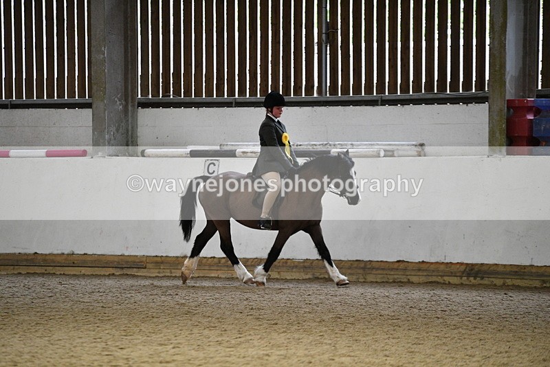 WJ5_7400 - Class 11 Ridden PC - RC Pony