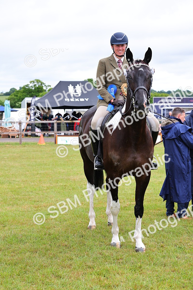 SBM_02557 - Class 9-11 Side Saddle including LIHS Rising Star Ladies Show Horse