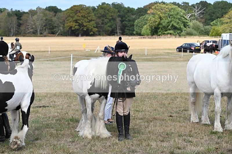 WJ6_6729 - Class 20 In-hand Cob