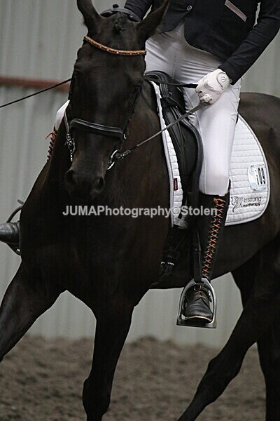 SIAL5677 - CAbin Dressage 5th july 2025