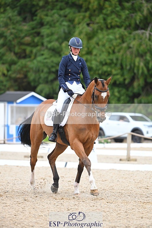 230813-132941-07585 - Cls 13 Medium Bronze 13.15 to End