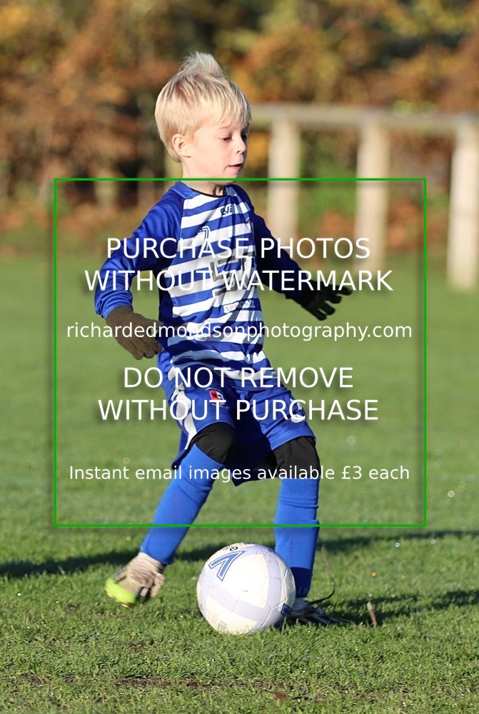 IMG_3754 - Kendal Utd Colts U7 vs Ambleside U7's (11/11/23)