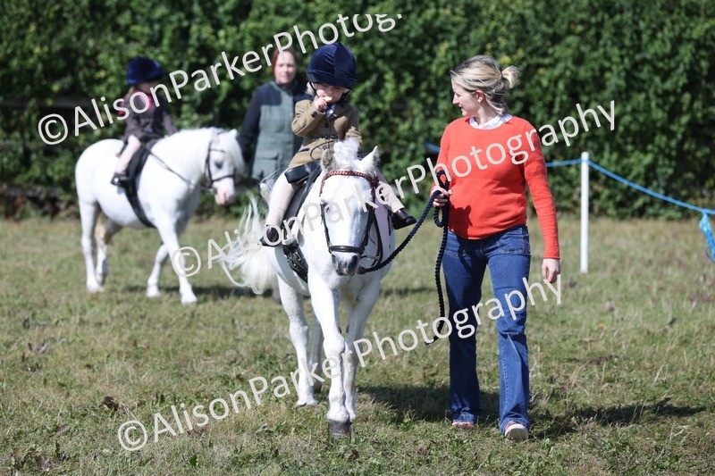 20250831-3125 - Class 24 - Absolute Beginners Pony