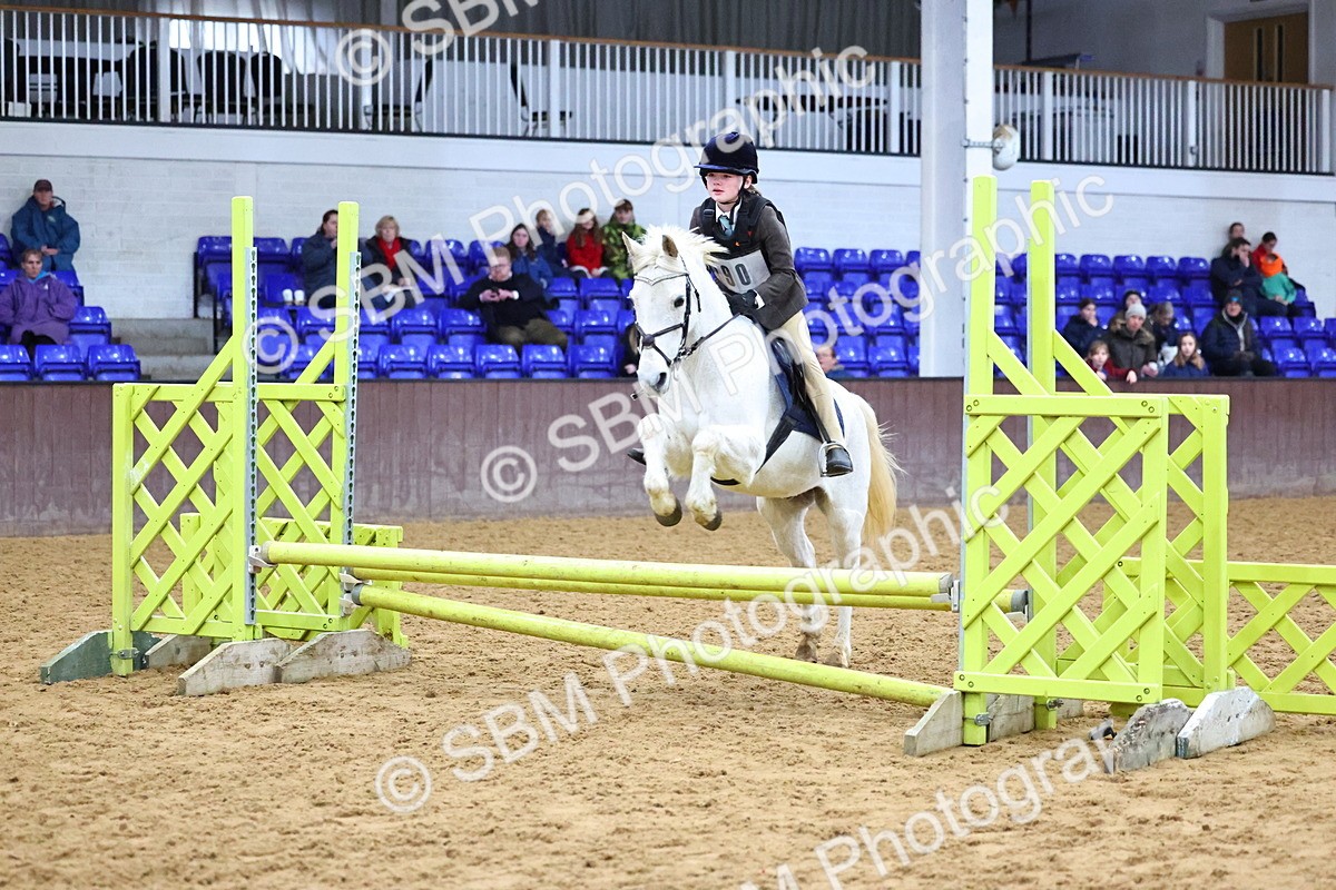 SBM_001237 - Class 3 - Christmas Tree Stakes - 60cm