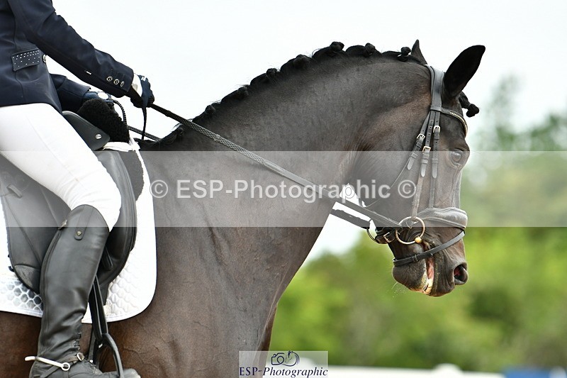 230702A-100115-08267 - Cls 23 Prelim 19