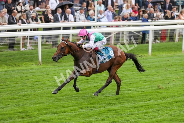 080924-Race 1-Windlord-4345 - Race 1 1.40pm British European Breeders Fund Novice Stakes