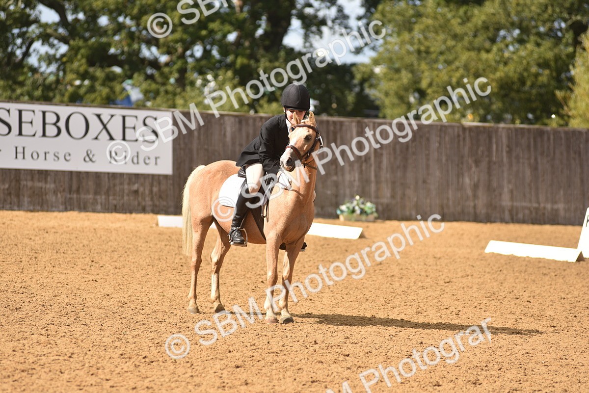 SBM_48679 - D22 - Junior Championship Intro 3