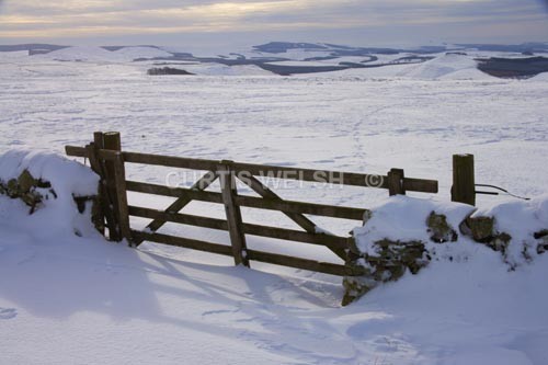 114 - SCOTTISH BORDERS