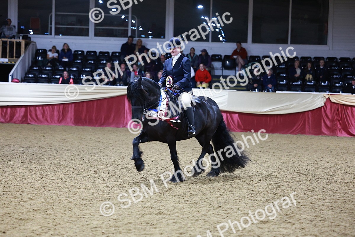 SBM_20923 - Class M - Equitation Champ