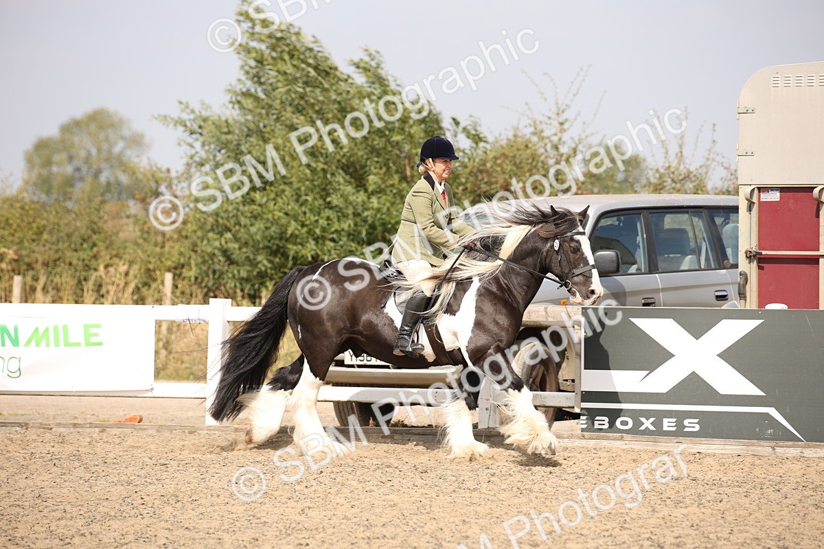 SBM_14329 - Class 407b - Working Veteran 60cm (20+)