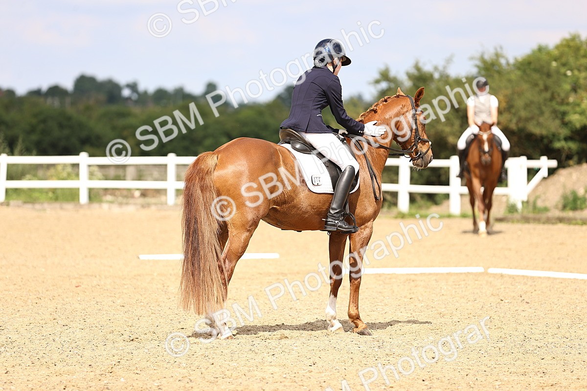SBM_002206 - Class 7 - Medium 3