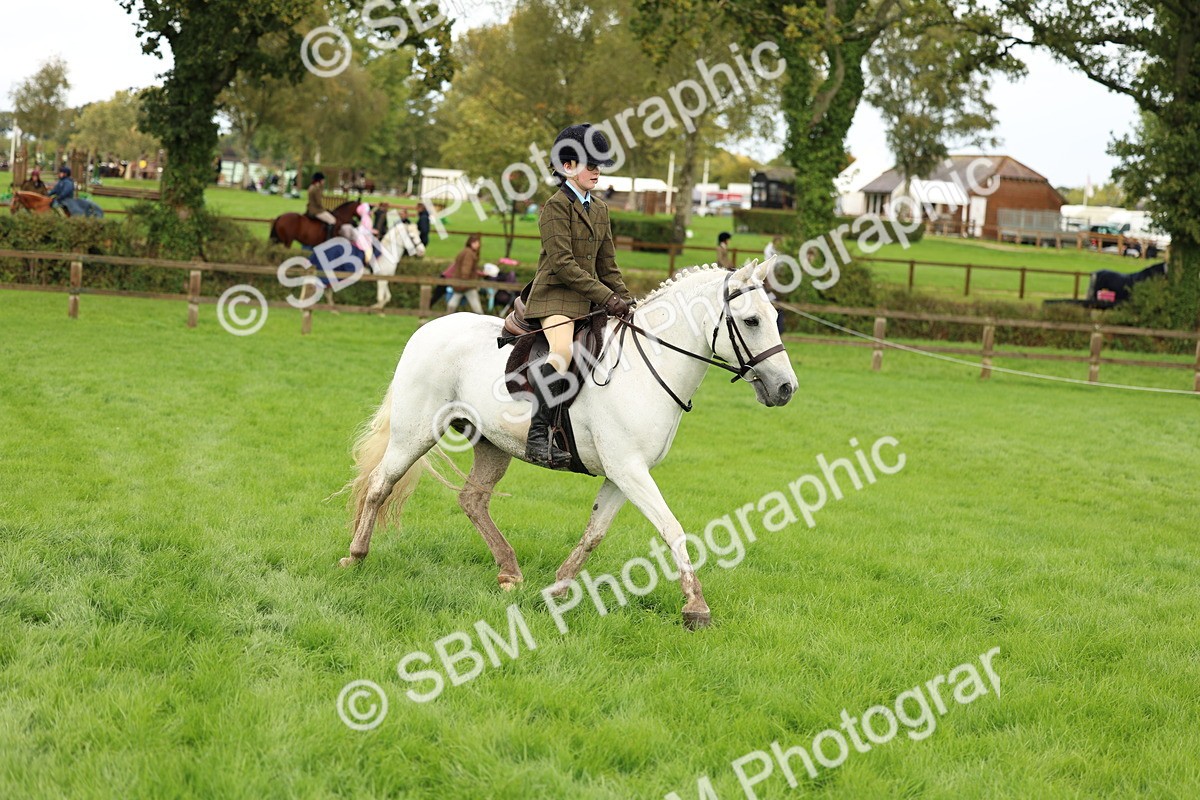 SBM_45357 - S33 - Working Hunter Pony