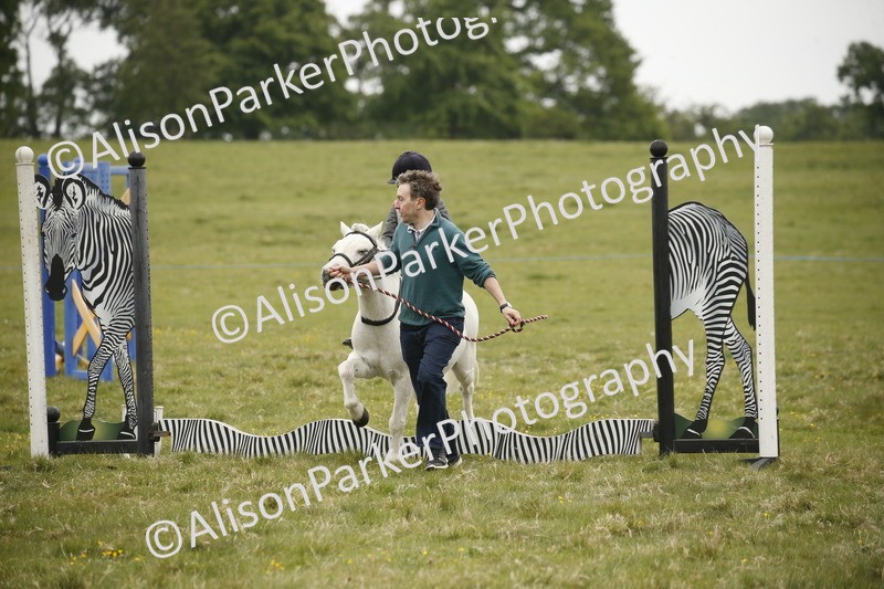 20250517-0121 - Class 1 - 30cm On Lead Rein