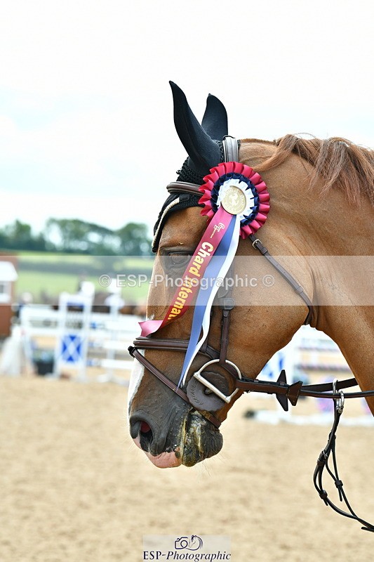 230721A-122614-06124 - Cls 18, 1 Star Silver 1.20m