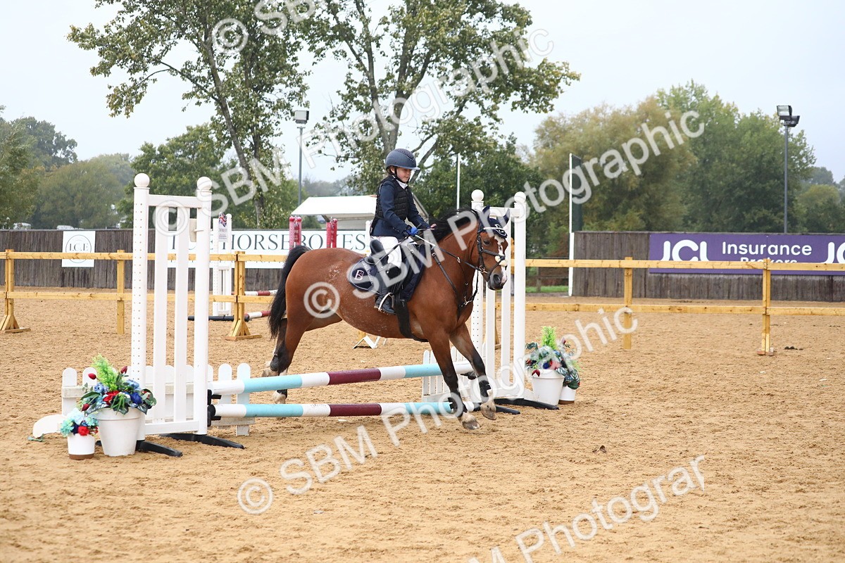 SBM_71632 - J4 - Mini Tour Junior Pony 45cm Championship