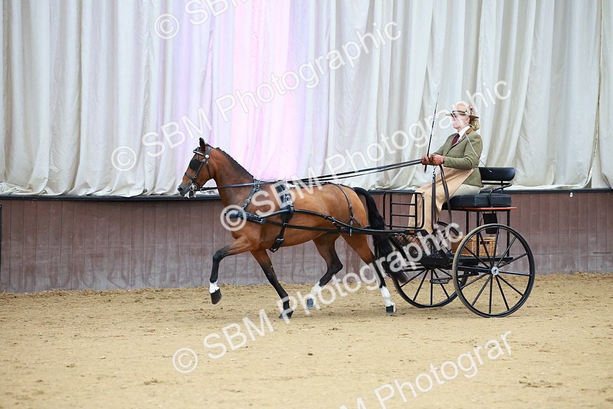 SBM_000114 - Class 3 - Alison Thomas Memorial Lady Whip