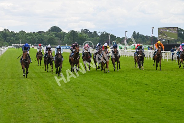 140624-Race 2-Inconspicuous-3943 - Race 2 2.25pm CGE Yorkshire Rous Selling Stakes