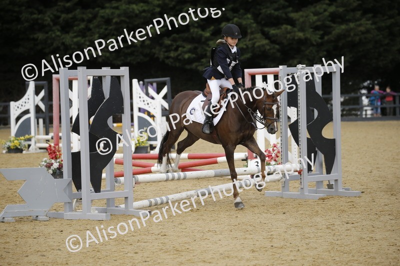 20250622-3704 - 50cm