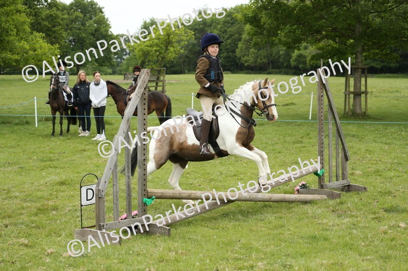 20250517-0414 - Class 20 - Beginners Working Hunter