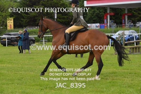 JAC_8395 - CLASS 2 BHS 1.05M SCONE QUALIFIER
