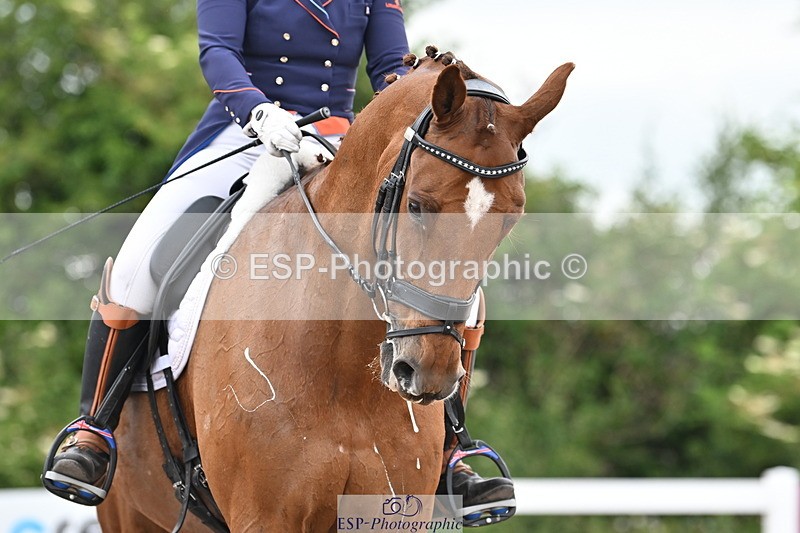 240621A-181822-06233 - Cls 17 BD FEI PSG