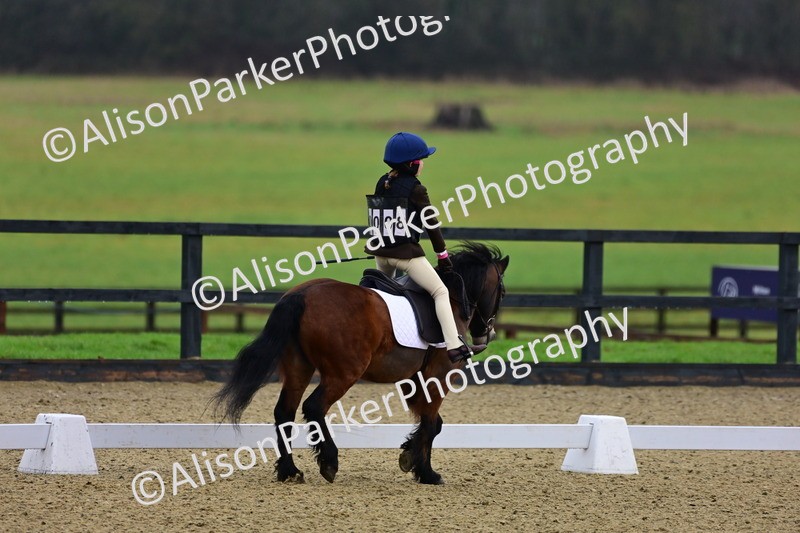 20260125-0503 - Class 9b - Walk Trot Unassisted