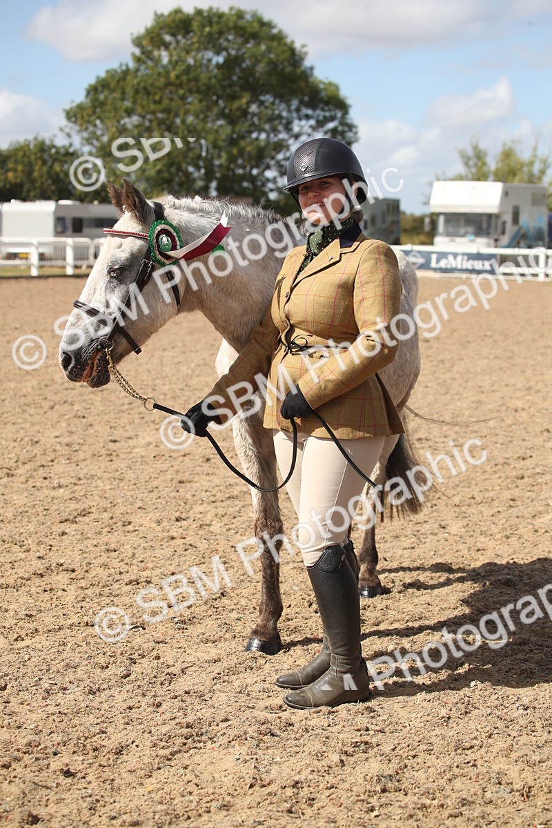 SBM_23490 - Class 604 - 2026 - Area IH Diamond