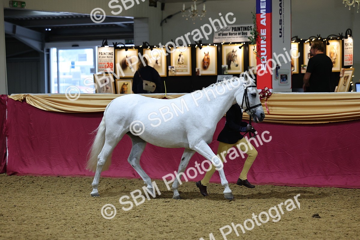 SBM_18465 - Class A Junior Champ 10 Years and Under
