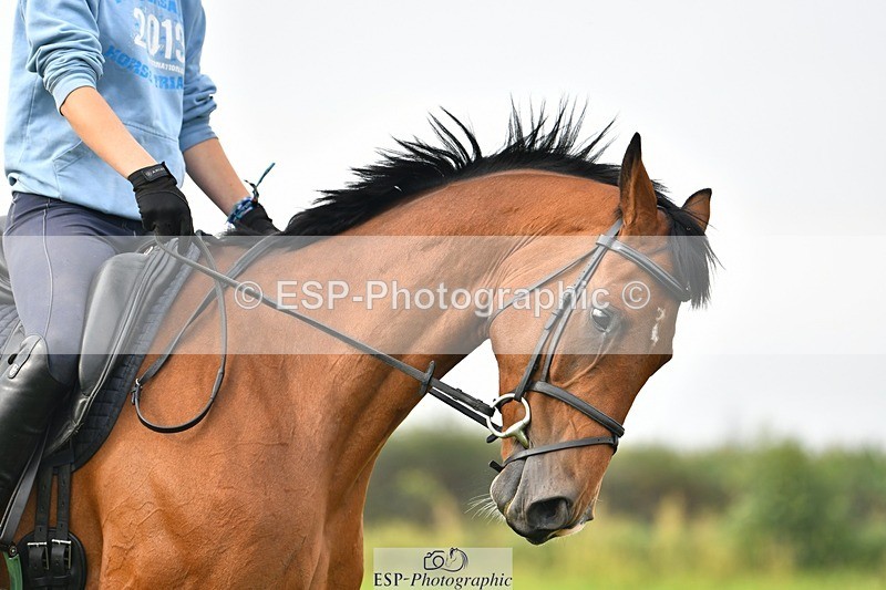 230817-090711-02475 - Abbie's 1st Group - Dressage