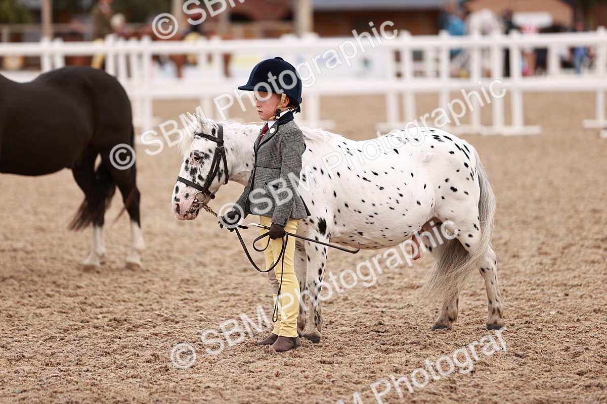 SBM_18565 - Class 421 - Childs Best Friend - Jnr
