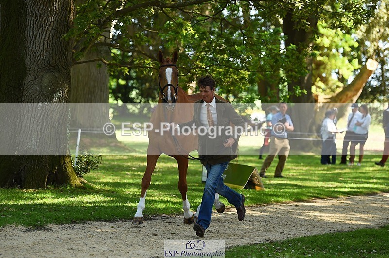230524-154706-00496 - 370-DUKE_LEGACY-William_Fox-Pitt-WEDTrotUp+DR