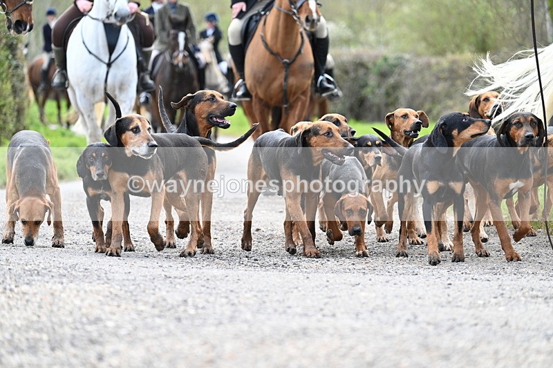 WJ7_9806 - Walk Home