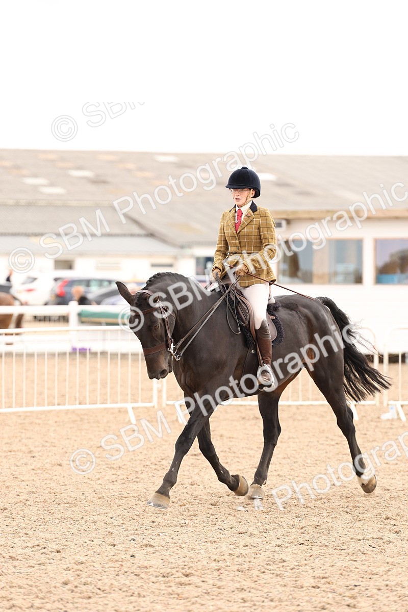 SBM_16493 - Class 212 - Ridden Hunter - Small