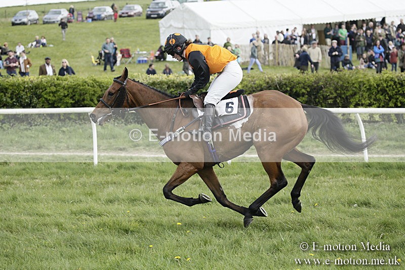 PtP 170417 385 - Old Berks Point-to-Point Lockinge 17/04/17