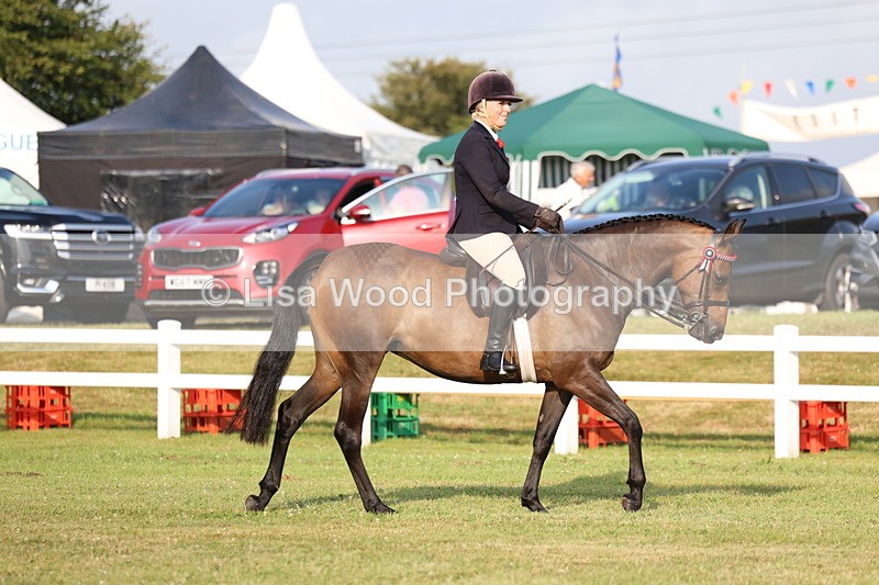 3E7A7640 - Class 1: Rising Star Small Hack/Riding Horses