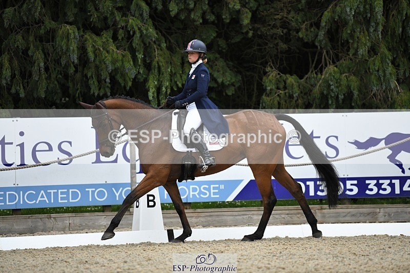 230525-143833-03154 - 322-CHANSON_DU_VILLAGE-Phoebe_Locke-WEDTrotUp+DR