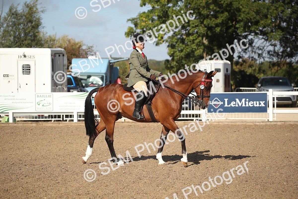 SBM_22705 - Class 601 - 2026 - Area - Ridden Diamond