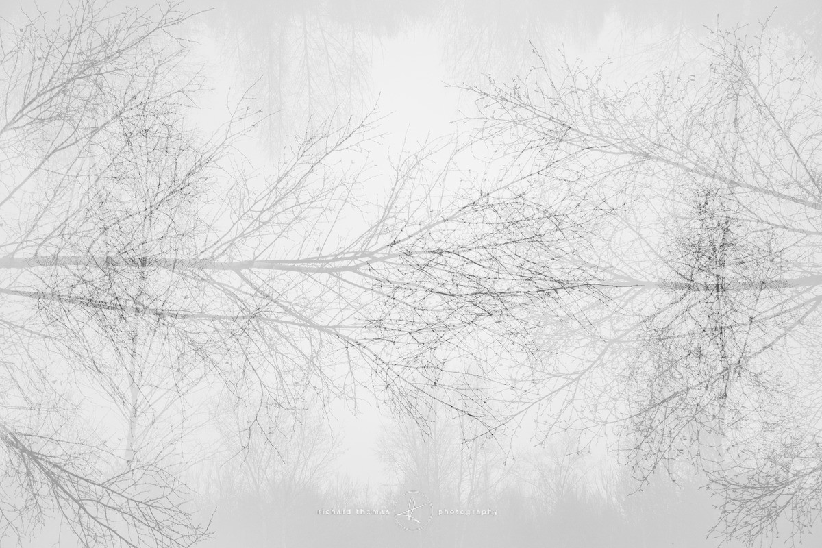 Tactility - Revealed