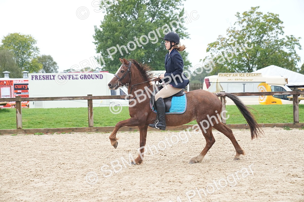 SBM_01775 - J54 - Clear Round 50cm