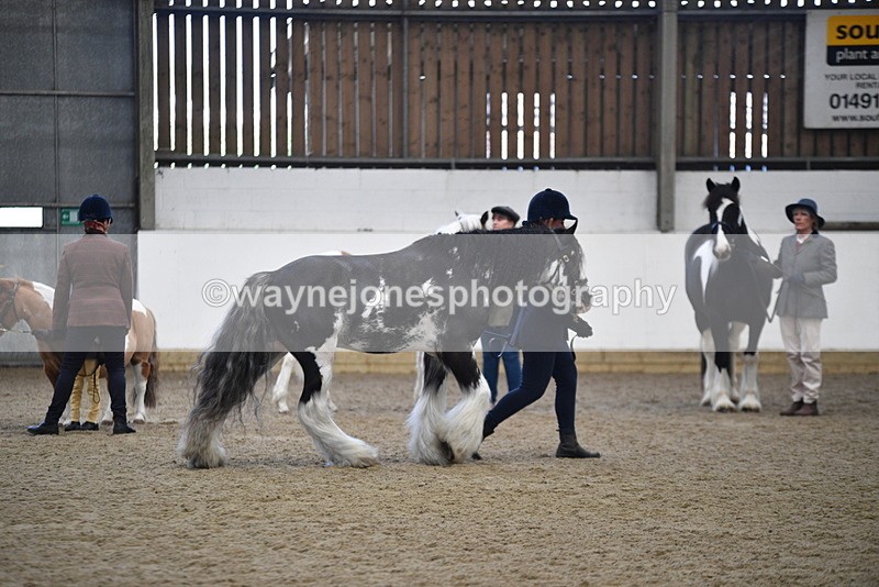 WJ5_4686 - Class 7 In hand coloured / odd coloured